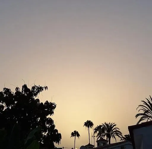 Oasis Porches